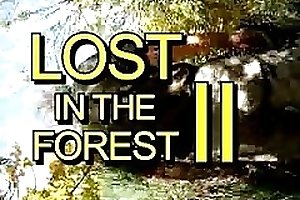 Lost in the Forest Part II